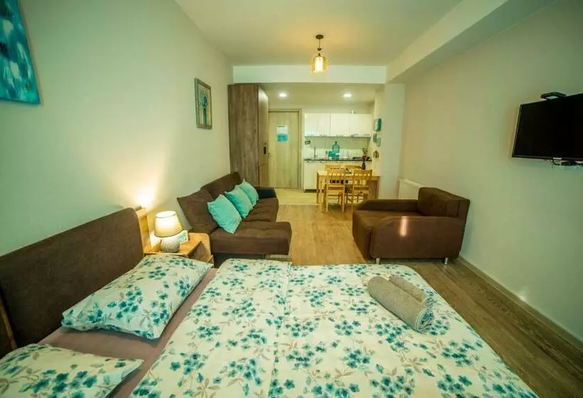 هتل Bakuriani Plaza A 208