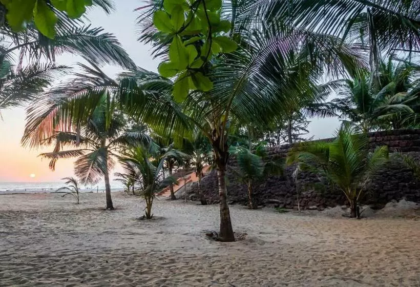 ホテル Mandrem Beach Resort, A Member Of Radisson Individuals Retreat