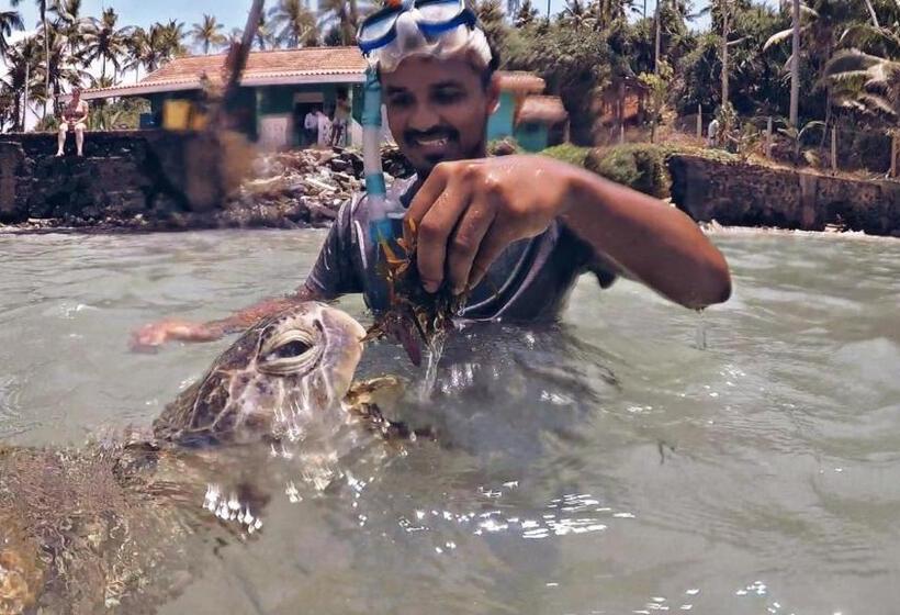 Pensjonat Coconut Reach