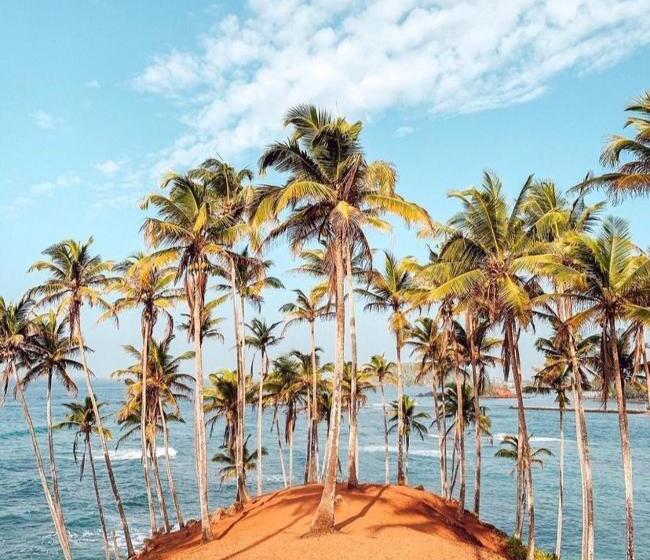 Pensjonat Coconut Reach