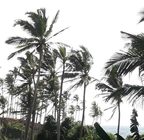 Pensjonat Coconut Reach