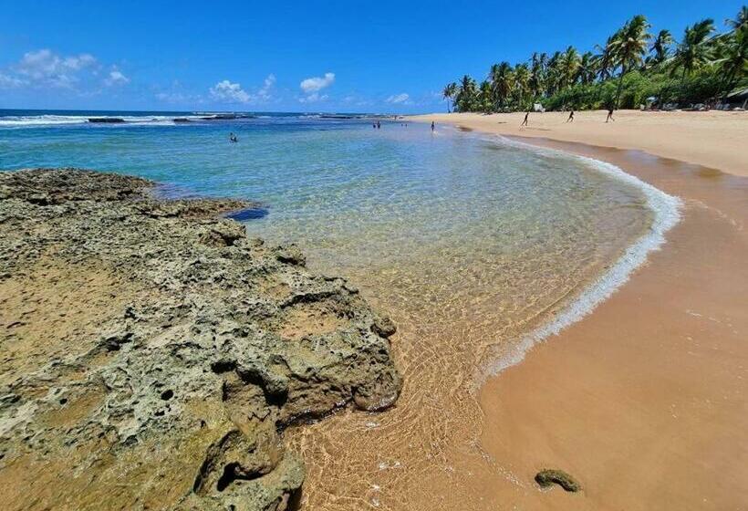 膳宿费 Pousada Irmã Lua