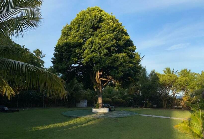 膳宿费 Pousada Irmã Lua