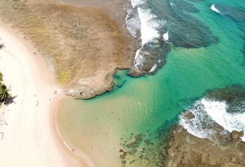 膳宿费 Pousada Irmã Lua