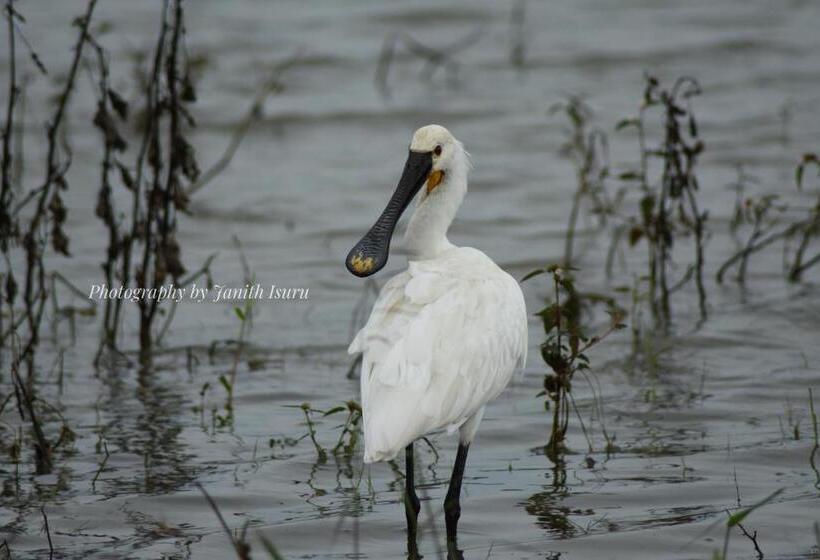 پانسیون Forest Edge Safari Villa