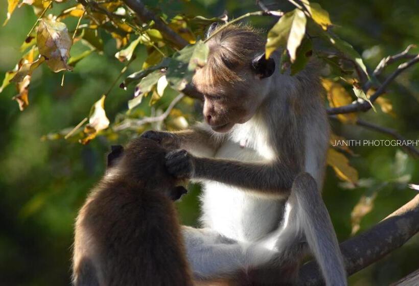 پانسیون Forest Edge Safari Villa