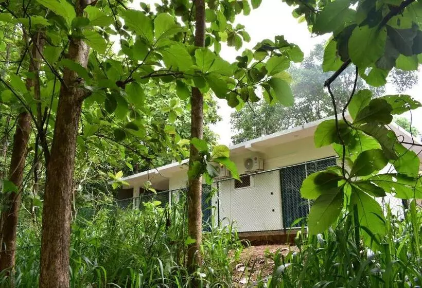 پانسیون Forest Edge Safari Villa