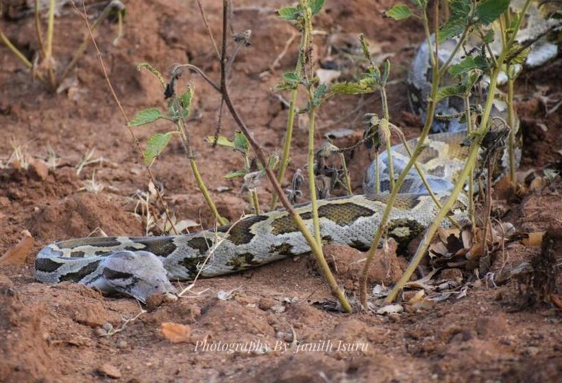 پانسیون Forest Edge Safari Villa