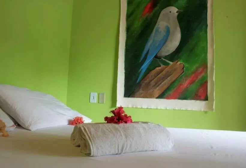 ペンション Pousada Ilha De Boipeba