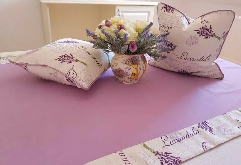 پانسیون Vila Bohemia