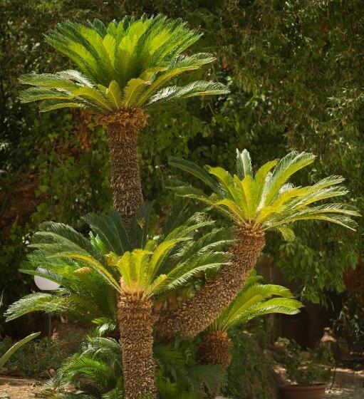 膳宿费 Villa Le Torri B&b