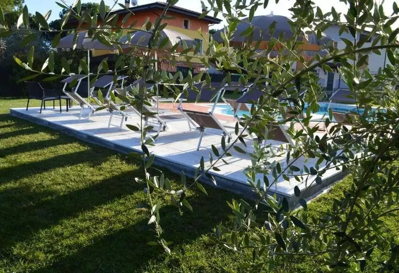 The Swan B&b