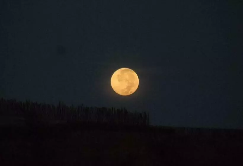 ユースホステル Casa Máncora Guesthouse