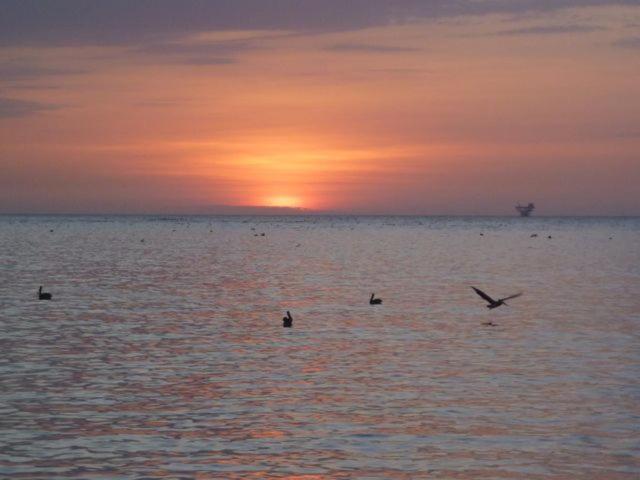 Hostel Oceanic Bungalows