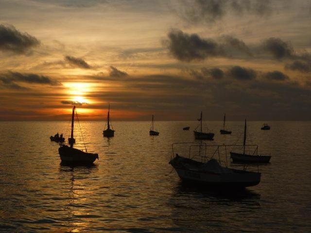 Hostel Oceanic Bungalows