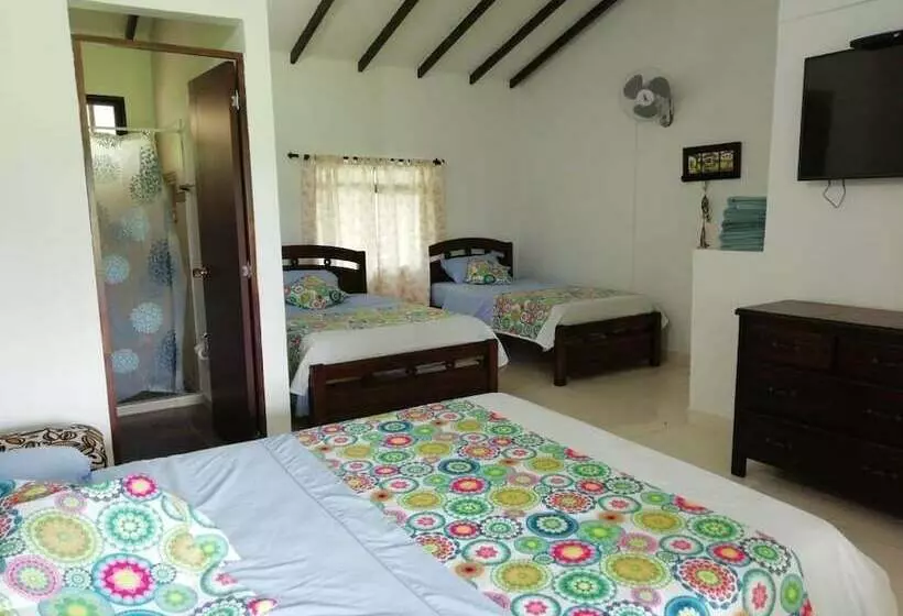 ベッドアンドブレックファースト Finca Campestre J&j