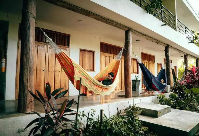 ペンション Casa Chapolin Boutique Guesthouse