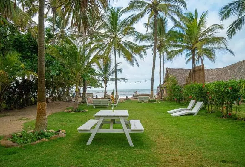 ペンション Casa Chapolin Boutique Guesthouse