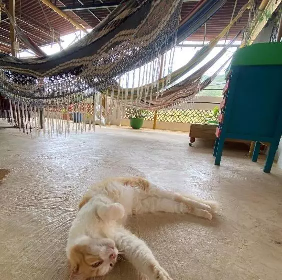 Majatalo Casa Italia Guest House