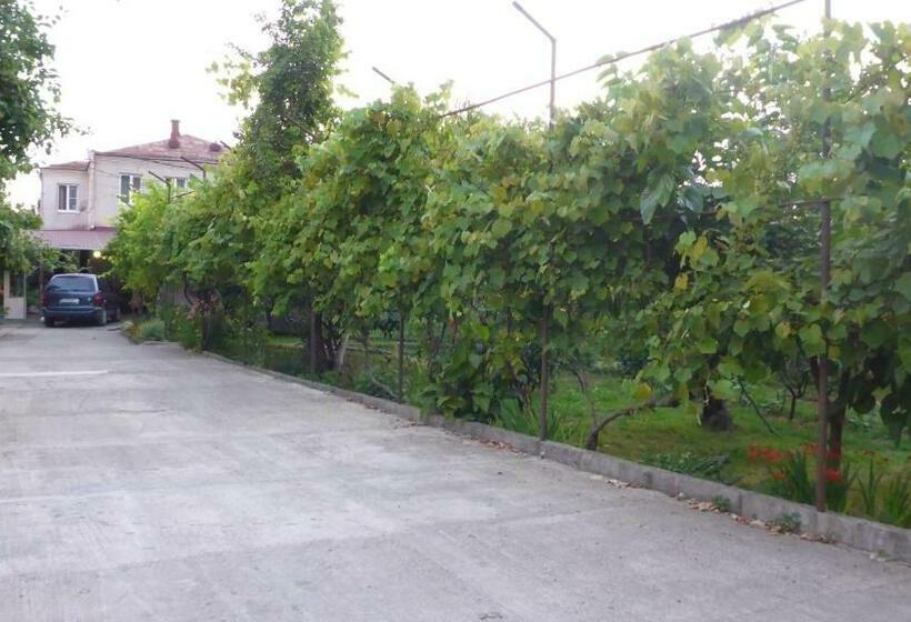 پانسیون Guest House U Aleny