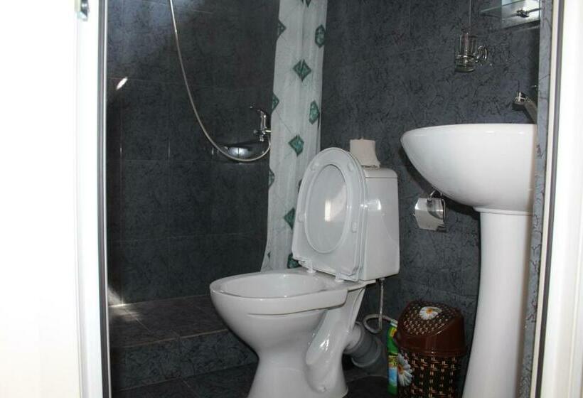 پانسیون Guest House U Aleny