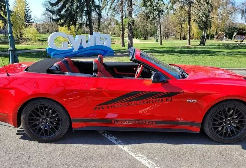 ペンション Gyula Panzio