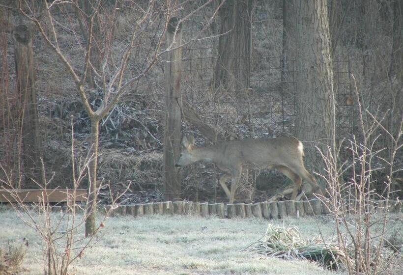 펜션 Napsugár Vendégház