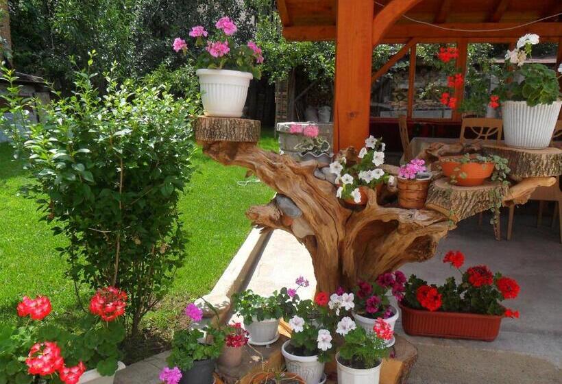 膳宿费 Vien Guest House