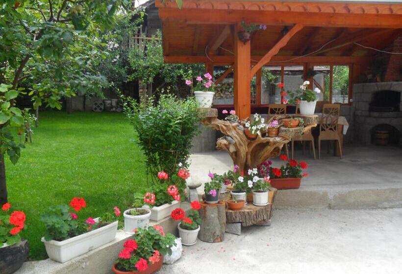 膳宿费 Vien Guest House