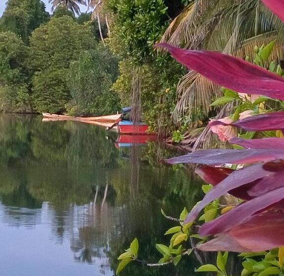 Pensió Villa River View