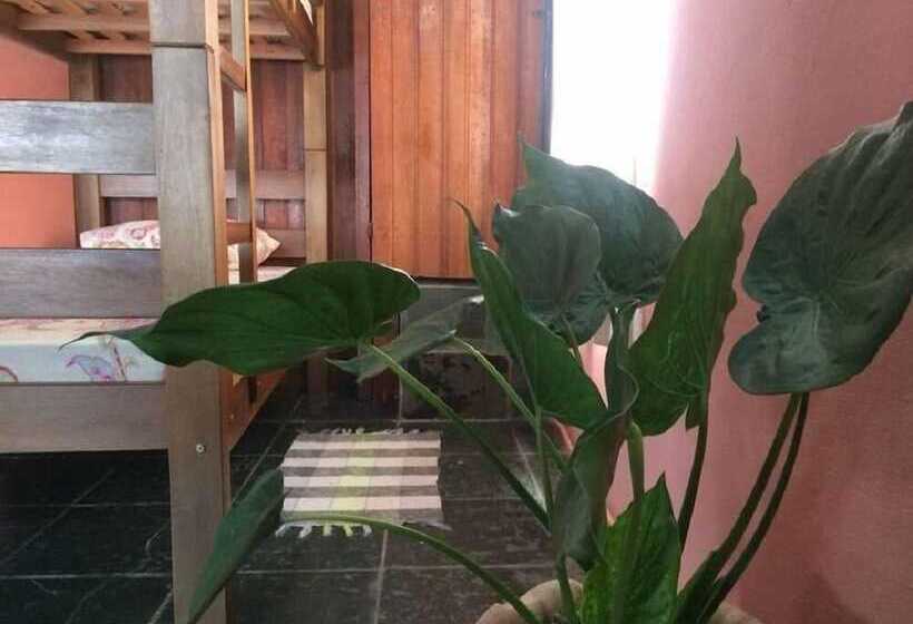 膳宿费 Boomerang Hostel