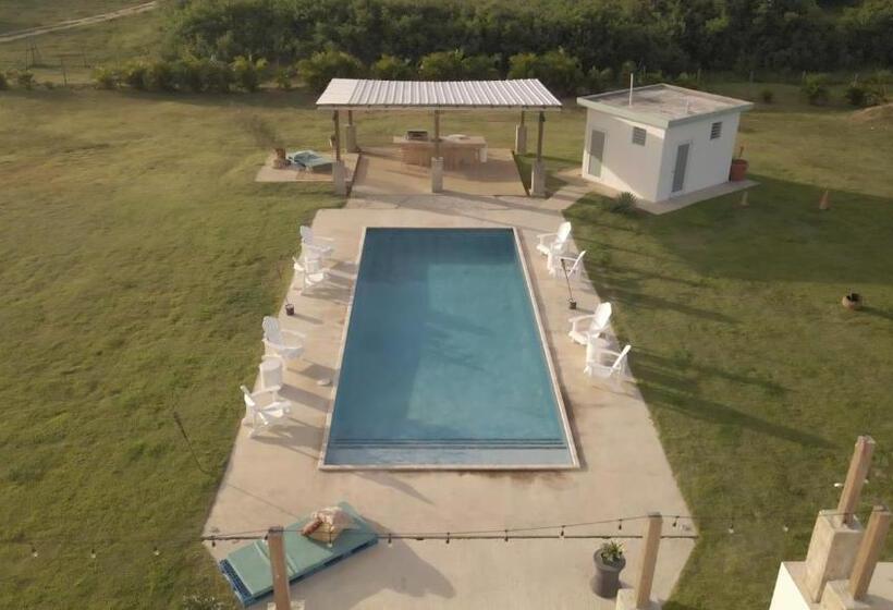 هاستل The Grand Villa