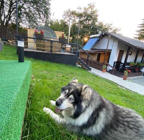 تختخواب و صبحانه Casa Greta