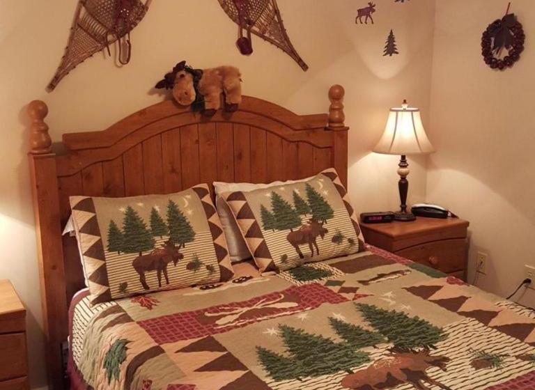 Stroll To Slopes, Village Area, Ski In Out Mtlodge 322