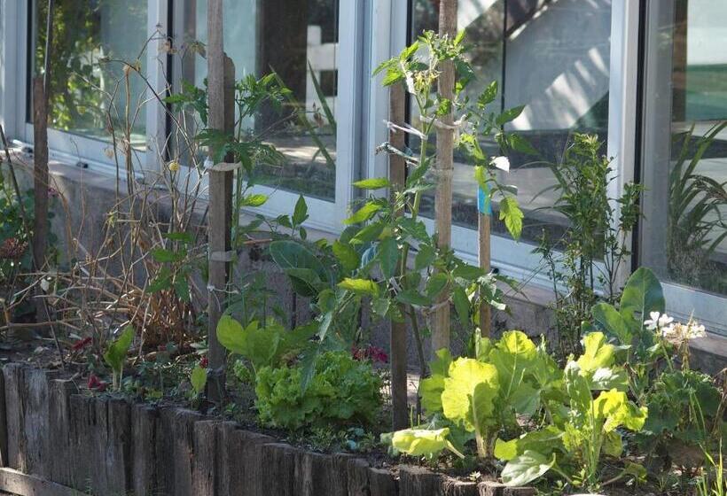 Hotel Buena Vista Se Reserva Solo Con Seña