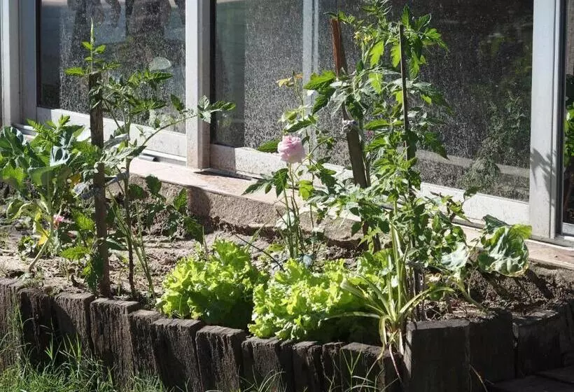 Hotelli Buena Vista Se Reserva Solo Con Seña