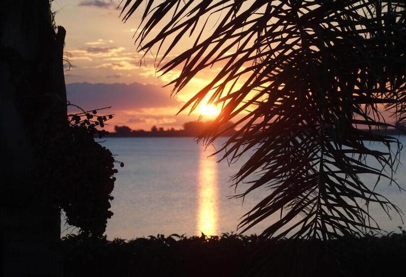 Hotel Buena Vista Se Reserva Solo Con Seña