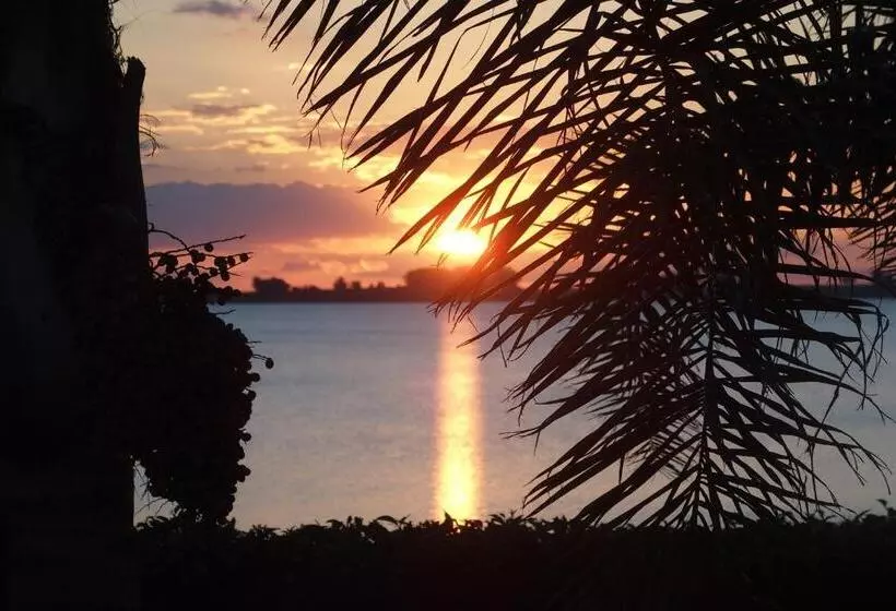 Hotelli Buena Vista Se Reserva Solo Con Seña