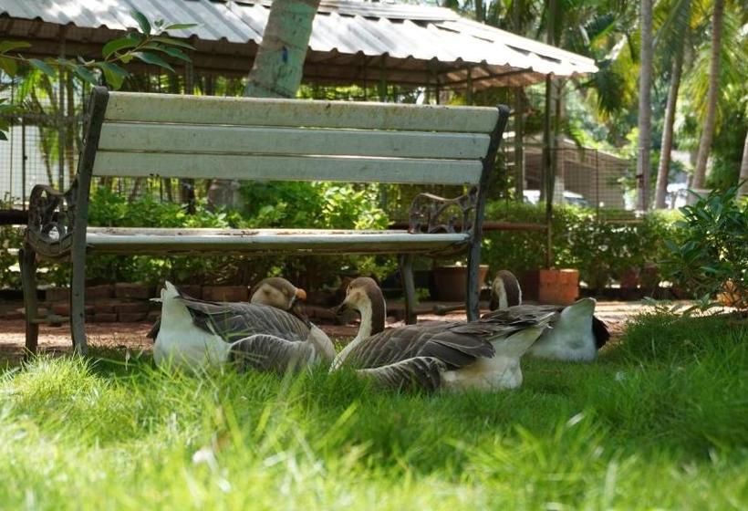 בית מלון כפרי Rk Resorts