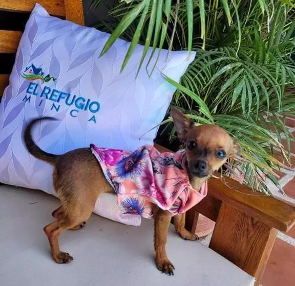 ペンション El Refugio Minca