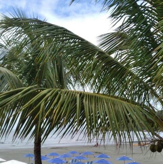 پانسیون Viva Barê Pousada