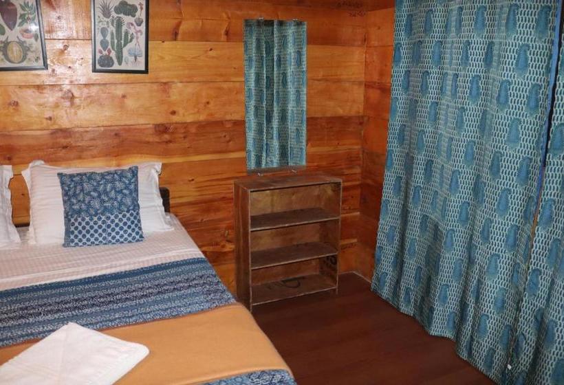 渡假胜地  Cilantro Agonda