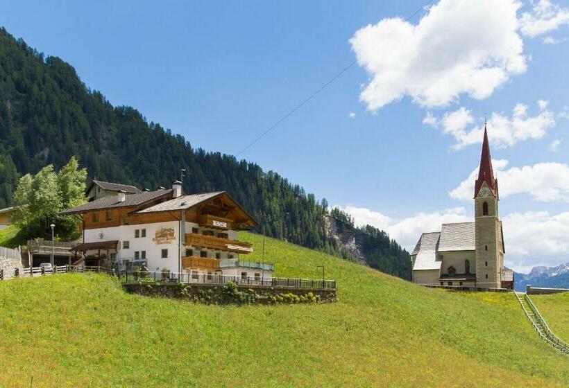 هاستل Gasthof Trausberg