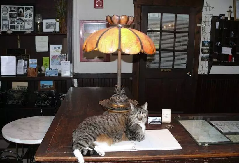 Retkeilymaja Riverview