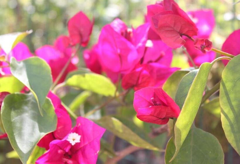 مبيت وإفطار Casa Nas Serras