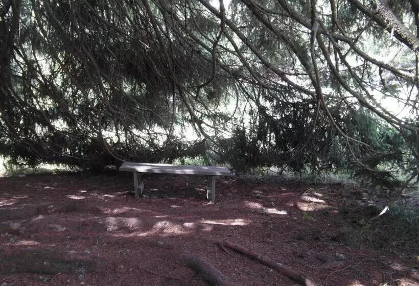 Hotelli Albergo Al Forte