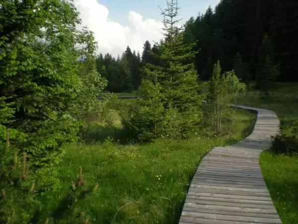 Hotelli Albergo Al Forte