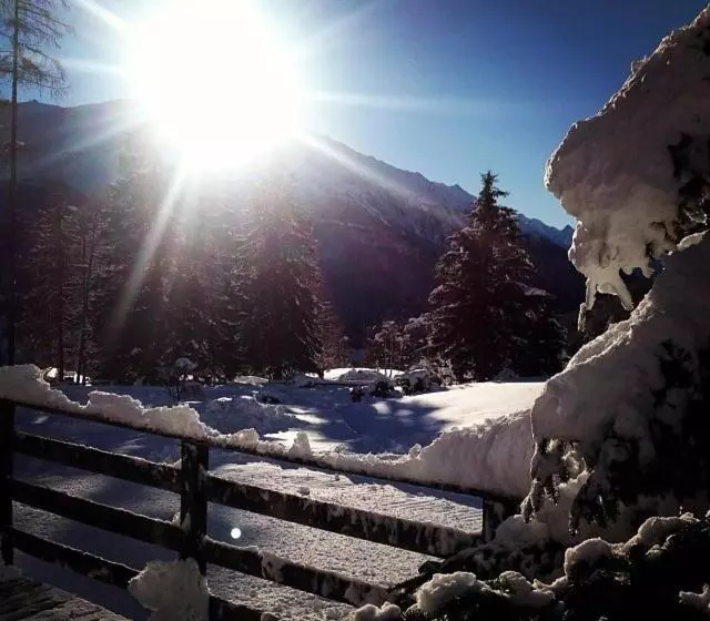 Hotelli Albergo Al Forte