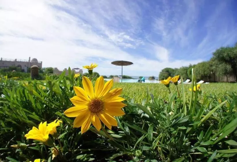 Hotelli Dar Danse, The Bubble On The Beach