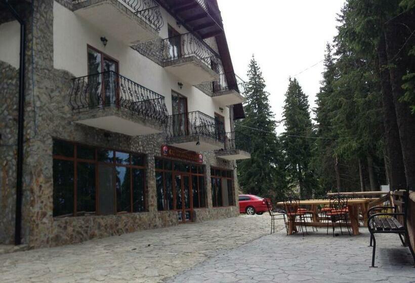 Пансион Cabana Haiducilor